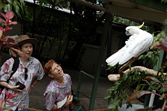 0095 Cairns Tropical Zoo